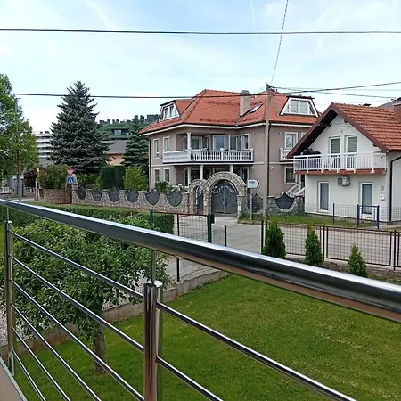 Ziki Saraievo